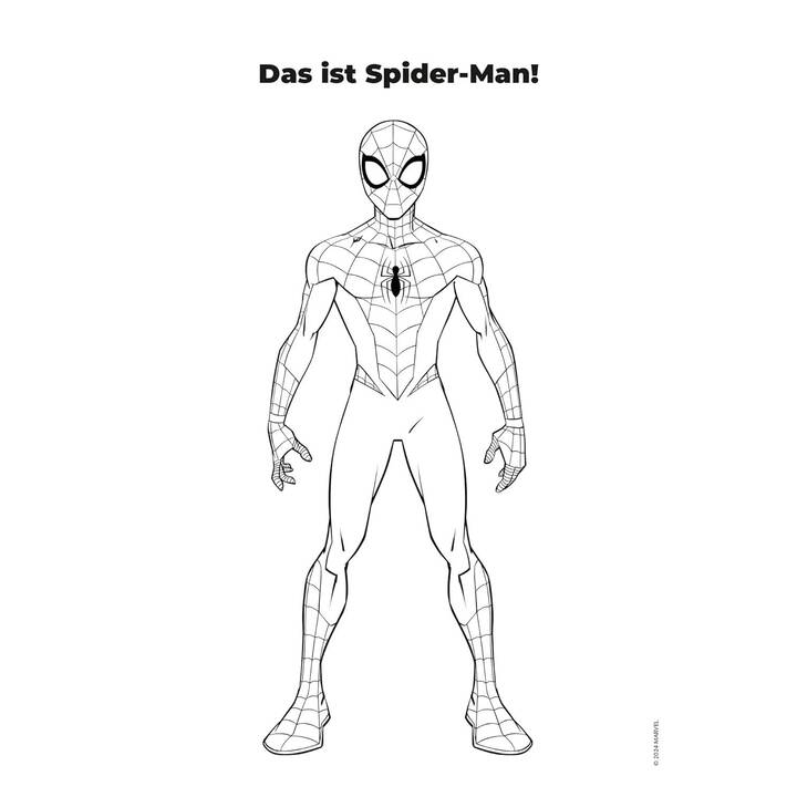 NELSON VERLAG Spider-Man Malbuch