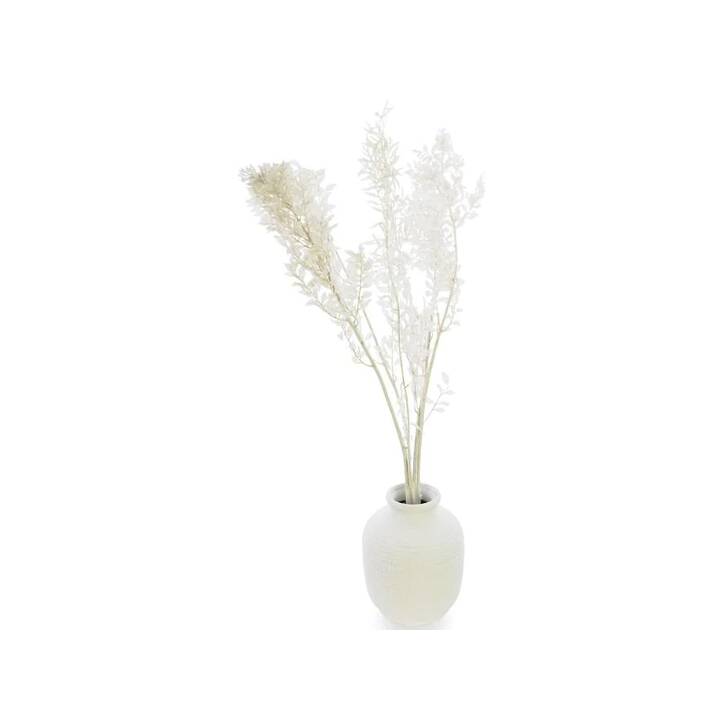 SOLI COLLECTION Ruscus Fleurs séchées (Blanc)