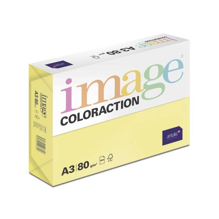 IMAGE Coloraction Farbiges Papier (5 x 500 Blatt, A4, 80 g/m2)
