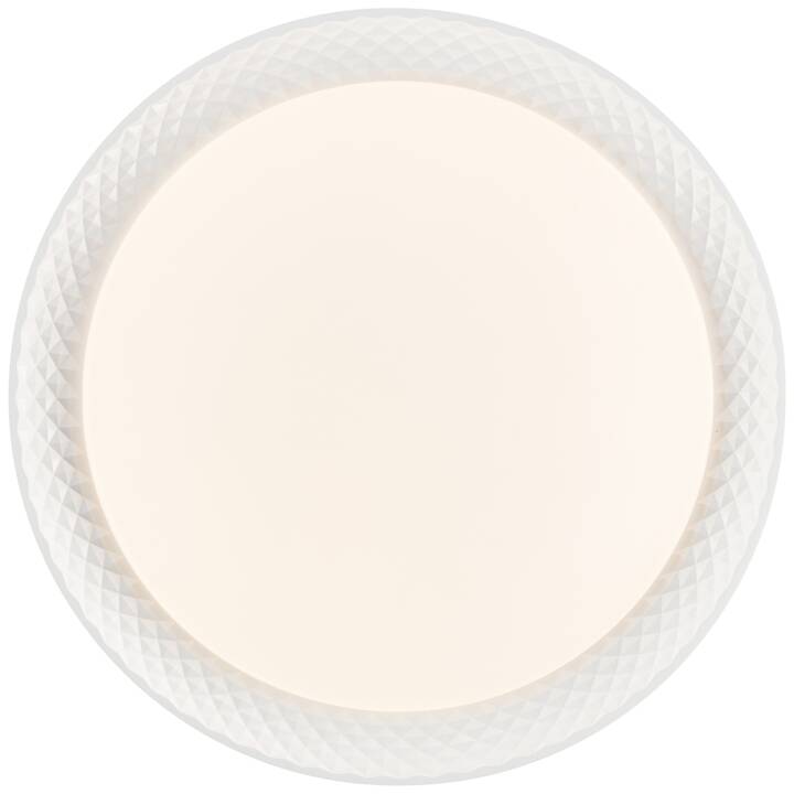 BRILLIANT Plafonnier Burlie (Transparent, Blanc)