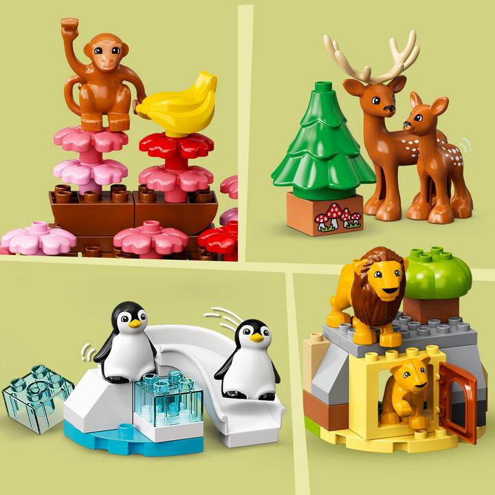 LEGO DUPLO Animaux Sauvages du Monde (10975)