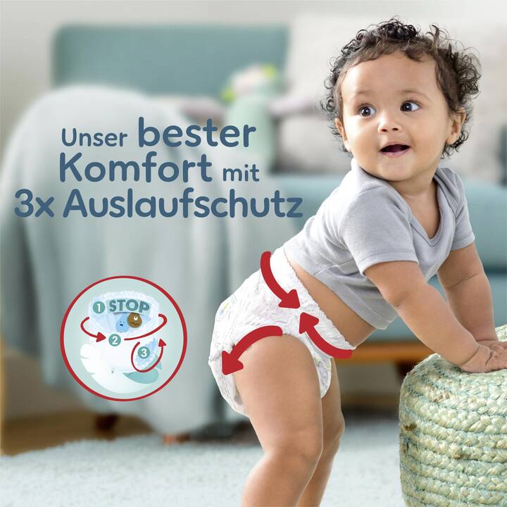 PAMPERS Premium Protection Pants 6 (Maxi Pack, 64 Stück)
