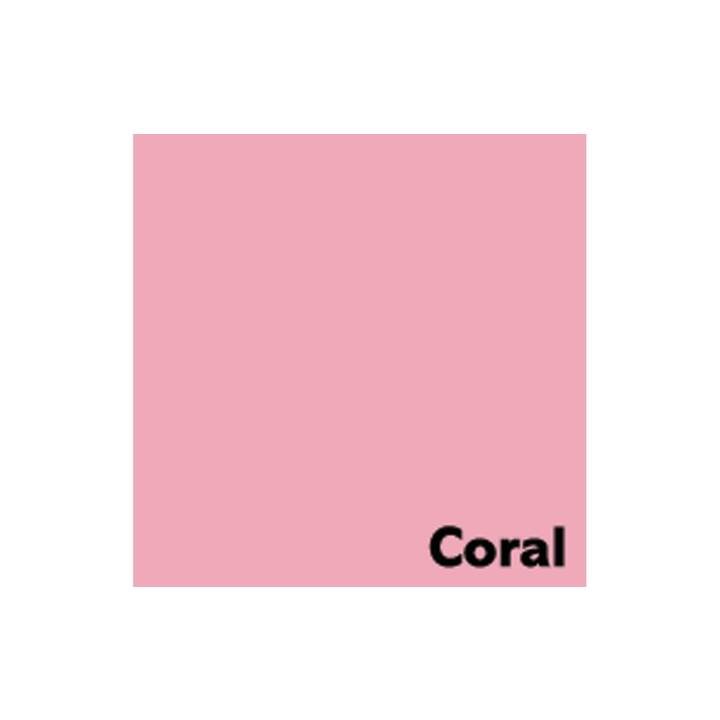 IMAGE Coloraction Carta colorata (5 x 500 foglio, A4, 80 g/m2)