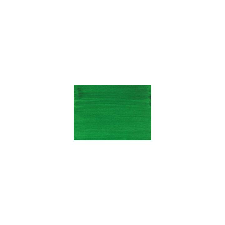 AMSTERDAM Colore acrilica (30 ml, Verde scuro, Verde)