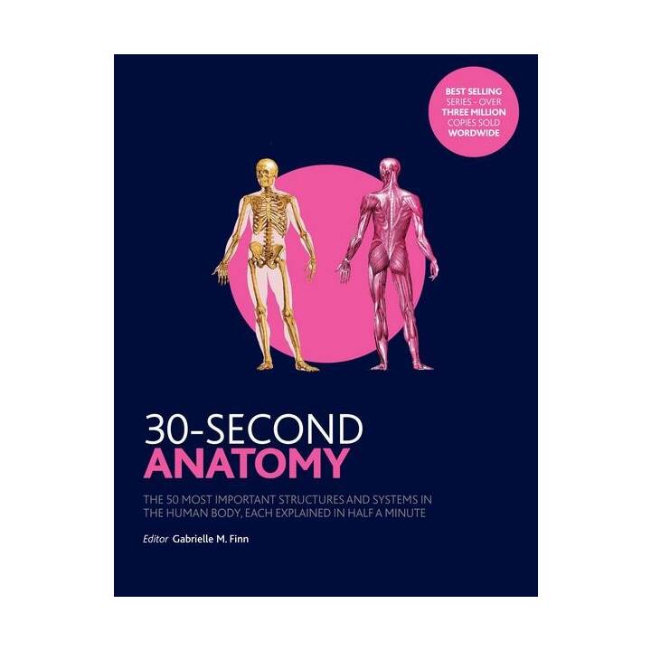 30-Second Anatomy