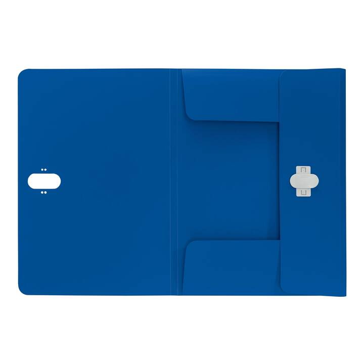 LEITZ Dossier d'organisation Recycle (Bleu, A4, 1 pièce)