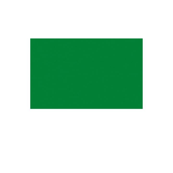 URSUS Cartone ( Verde abete, A4, 100 pezzo)