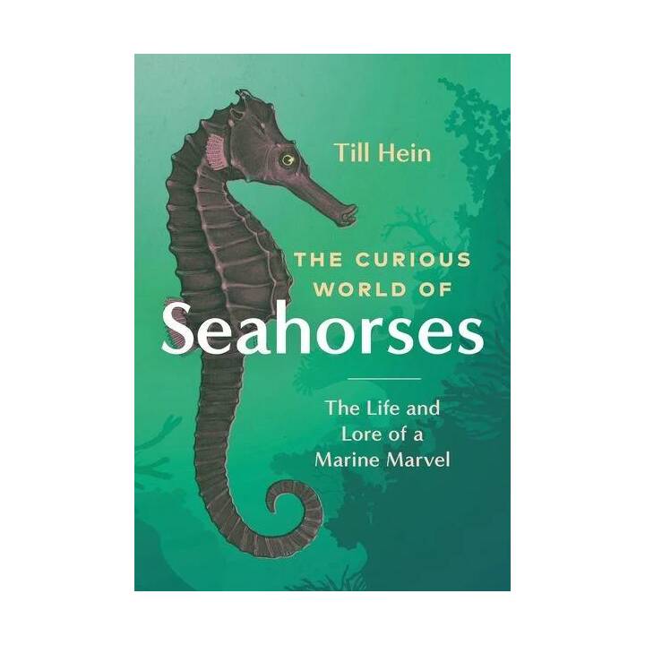 The Curious World of Seahorses