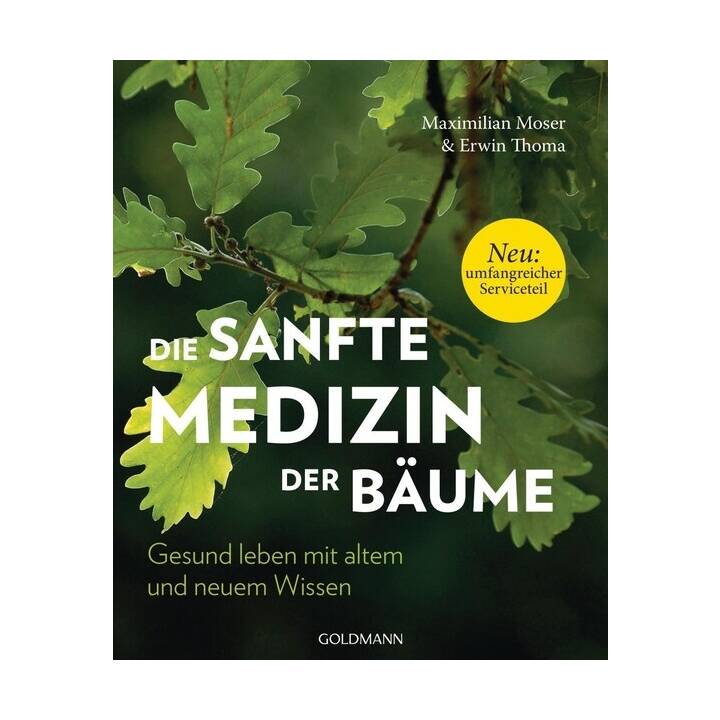 Die sanfte Medizin der Bäume