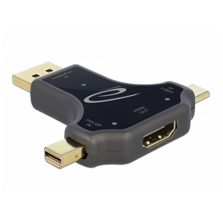 DELOCK Adaptateur vidéo (Mini DisplayPort, DisplayPort, USB Type-C)