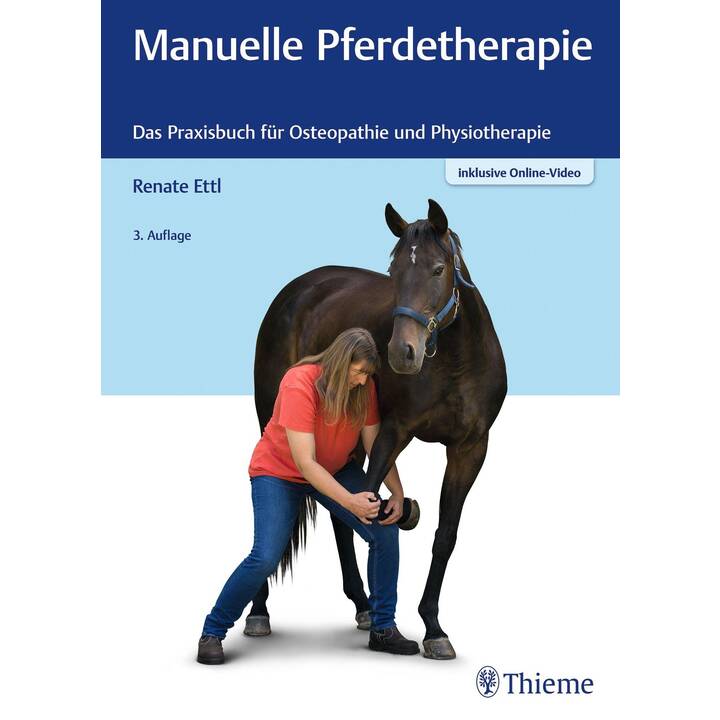 Manuelle Pferdetherapie