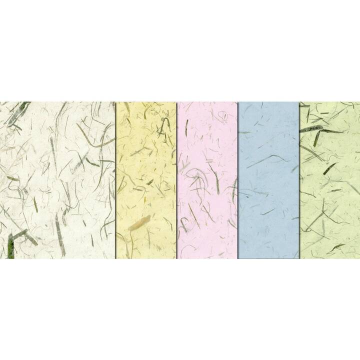 URSUS Papier de structure (Multicolore, 5 pièce)