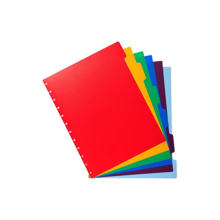 EXACOMPTA Dossier d'index (Rouge, Multicolore, A4, 1 pièce)