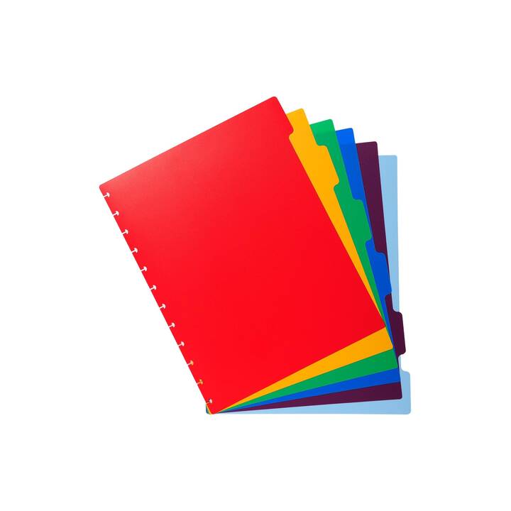 EXACOMPTA Archivio a soffietto (Rosso, Multicolore, A4, 1 pezzo)