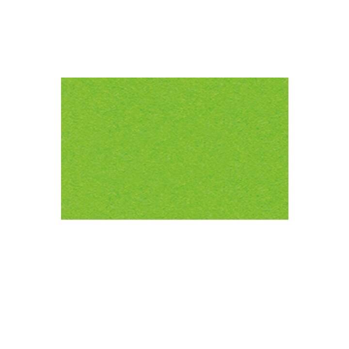 URSUS Carton 52 (Vert, 10 feuille)