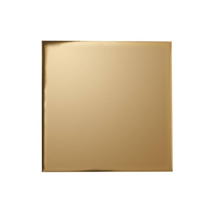 CRICUT Transferpapier (30.5 cm x 30.5 cm, Silber, Gold)