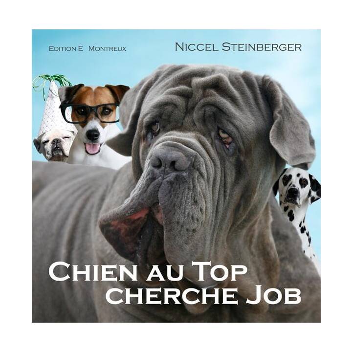 Chien au Top cherche Job