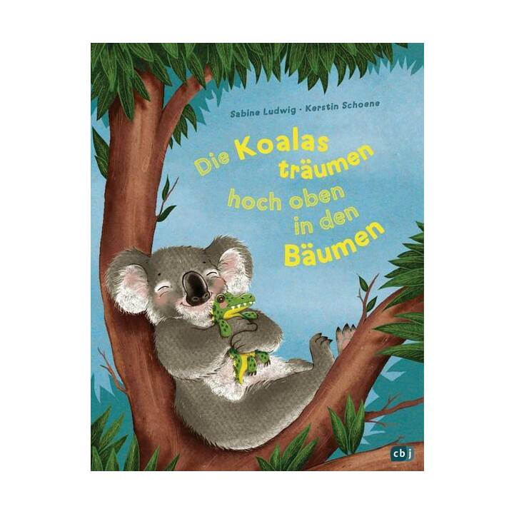 Die Koalas träumen hoch oben in den Bäumen
