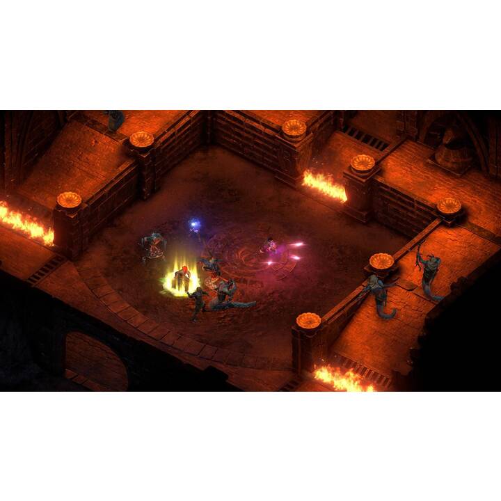 Pillars of Eternity 2: Deadfire (DE)