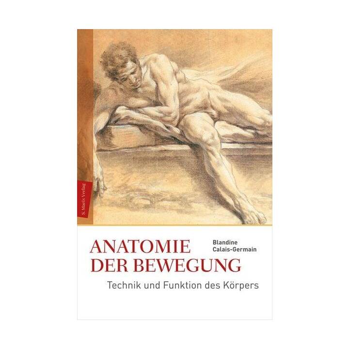 Anatomie der Bewegung