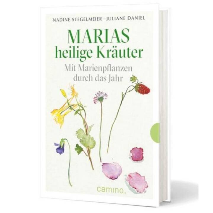 Marias heilige Kräuter