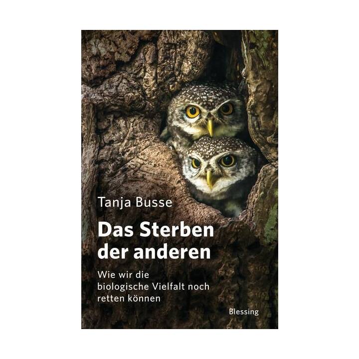 Das Sterben der anderen