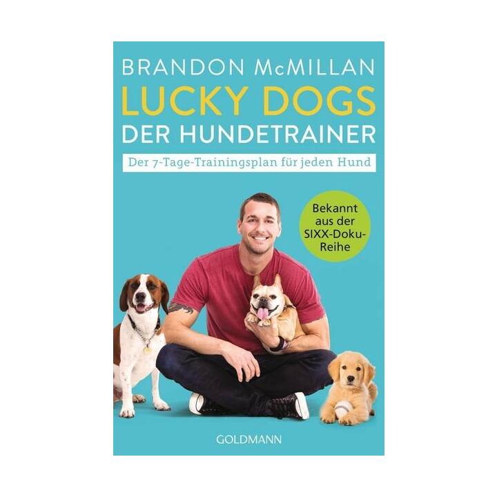Lucky Dogs - der Hundetrainer