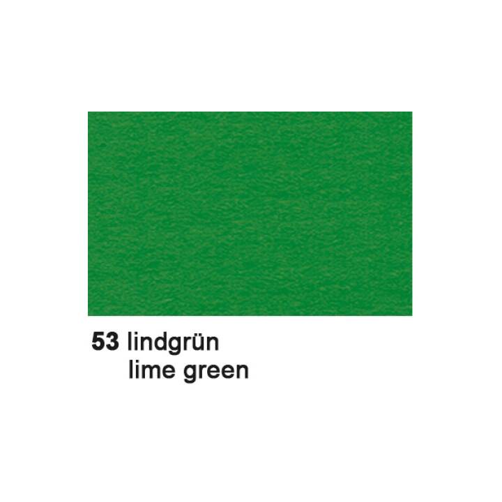 URSUS Cartone 53 (Verde chiaro, 10 pezzo)