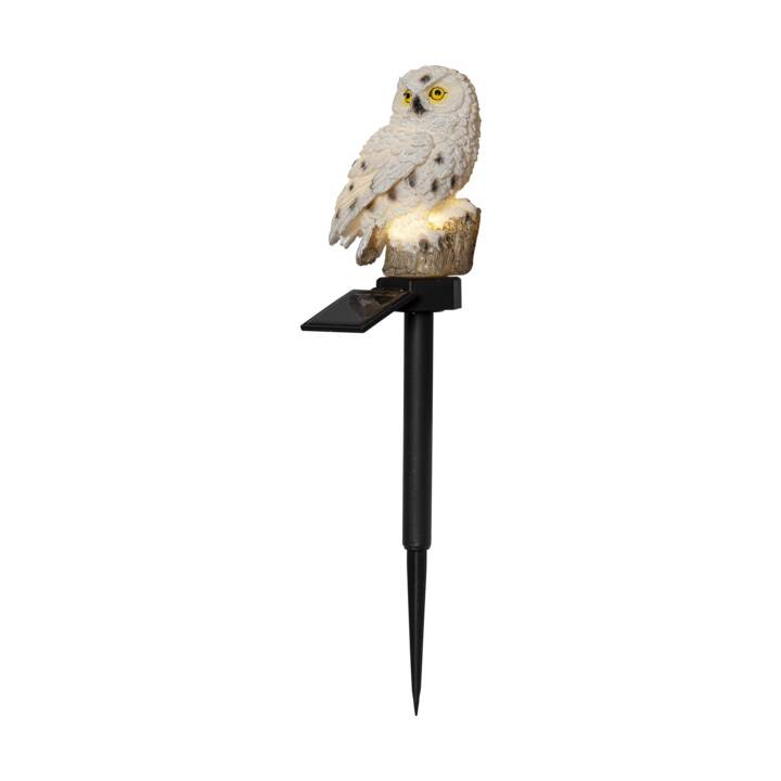 STAR TRADING Lampe décorative Owl (0.06 W, Beige)