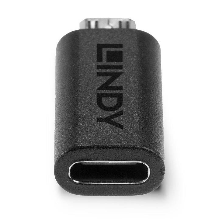 LINDY Adaptateur (USB C, USB 2.0 Micro Type-B)