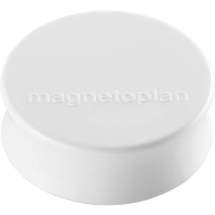 MAGNETOPLAN Ergo Large Puntina magnetico (10 pezzo)