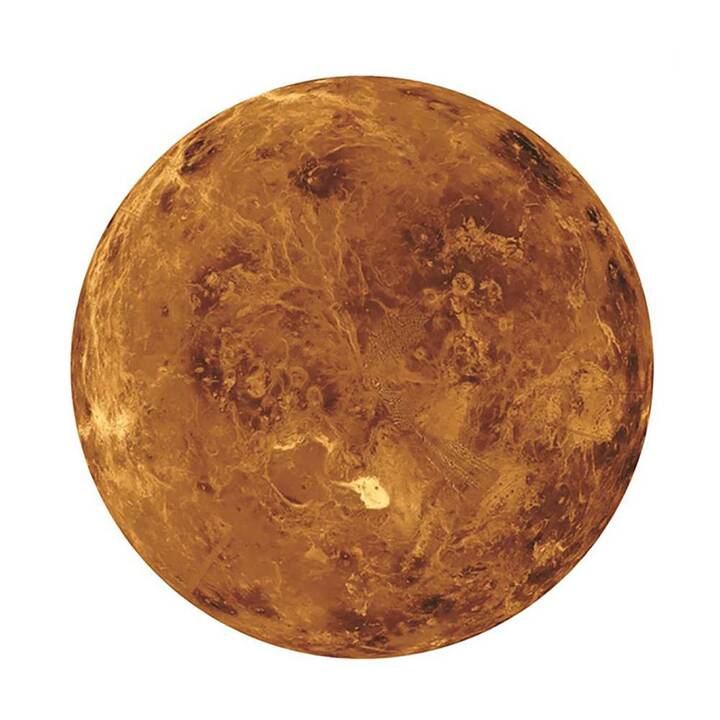 EG rundes Puzzle (1000 Teile) - Braun - Venus