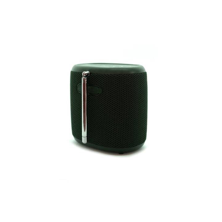 PURE Woodland Mini Radio digitale (Verde)