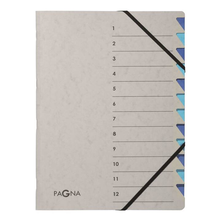 PAGNA Archivio a soffietto Easy (Grigio, Blu, A4, 1 pezzo)