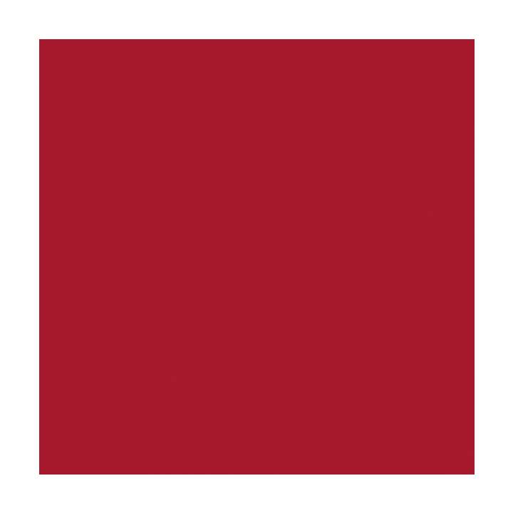 CRICUT Pelicolle adesive Smart (33 cm x 273 cm, Rosso)