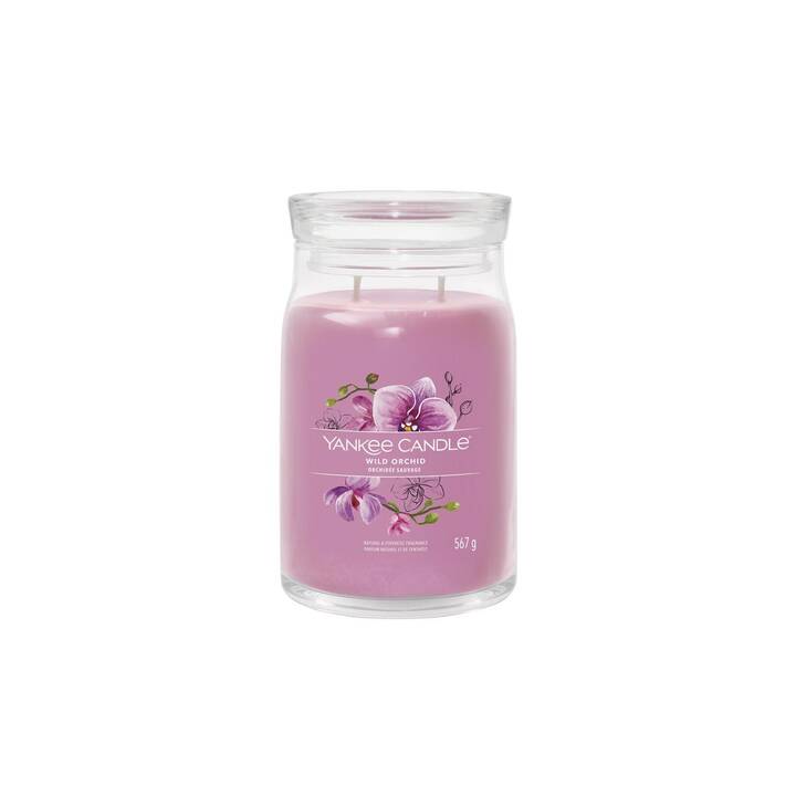YANKEE CANDLE Bougie parfumée Wild Orchid