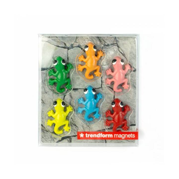TRENDFORM Gecko Magnet (6 Stück)