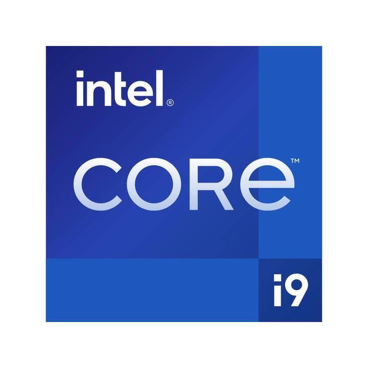 ACER Altos P130 (Intel Core i9 13900K, 32 GB, 1000 Go SSD, 2000 Go HDD, Nvidia RTX A2000)