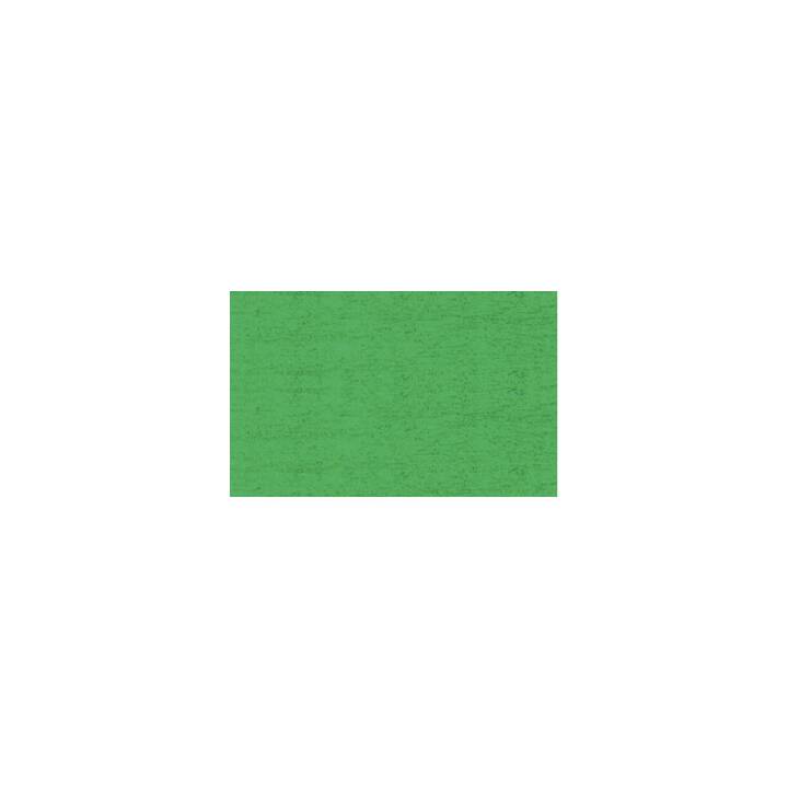 URSUS Papier crépon  500 x 2500  (Vert foncé, Vert)
