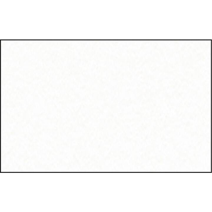 URSUS Cartone (Bianco, 10 pezzo)
