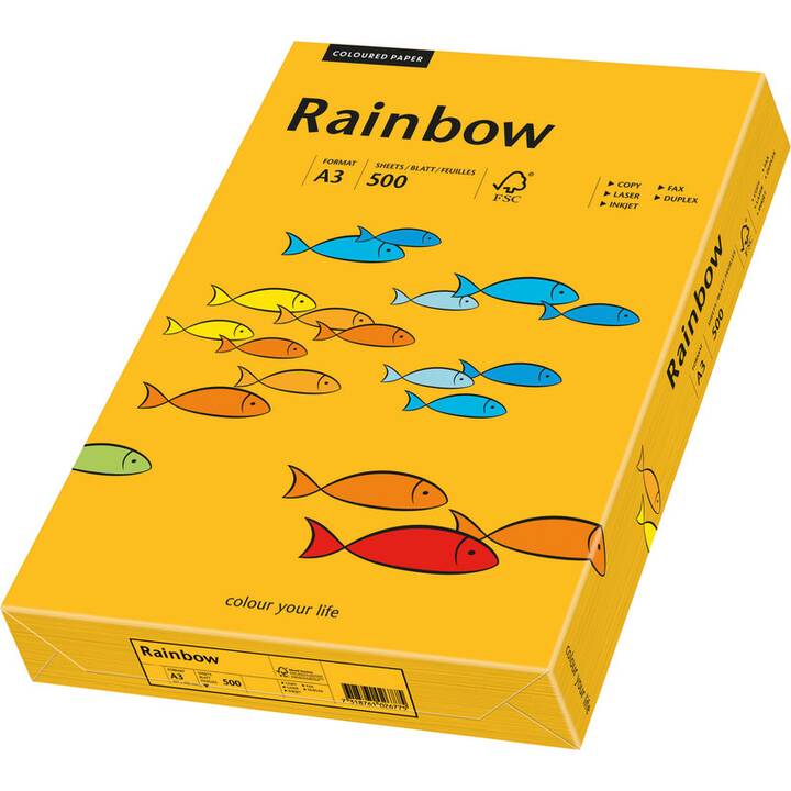 PAPYRUS Rainbow Papier couleur (500 pièce, A3, 80 g/m2)