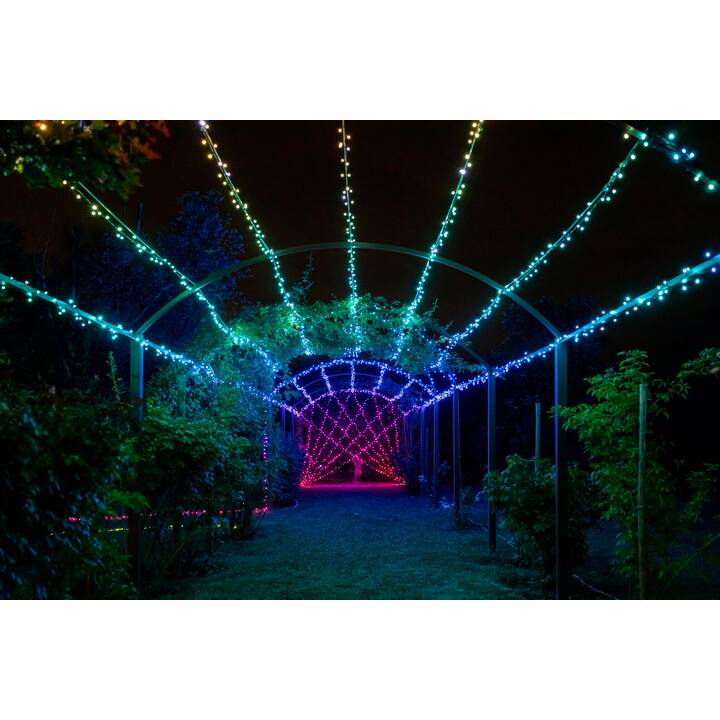 TWINKLY Ghirlanda di luci Strings 600L RGBW (600 LEDs)