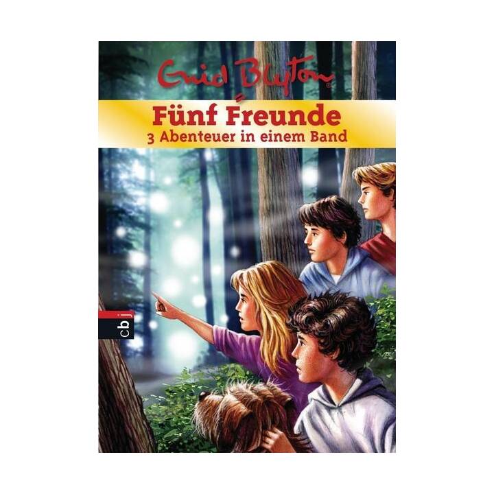 Fünf Freunde - 3 Abenteuer in einem Band Bd.19