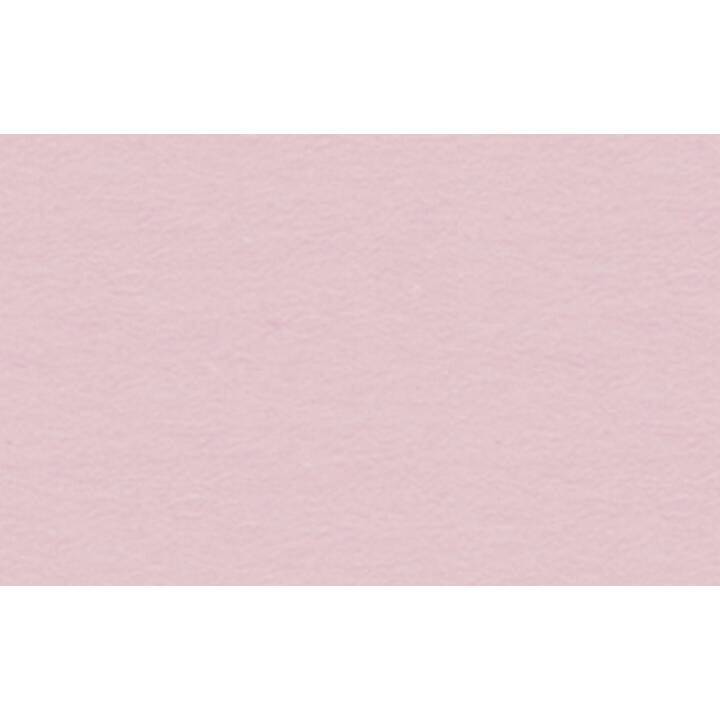URSUS Cartone (Pink, Rosa, 10 pezzo)