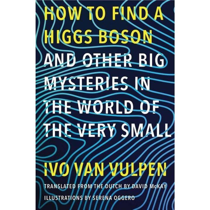 How to Find a Higgs Boson--And Other Big Mysteries in the World of the Very Small