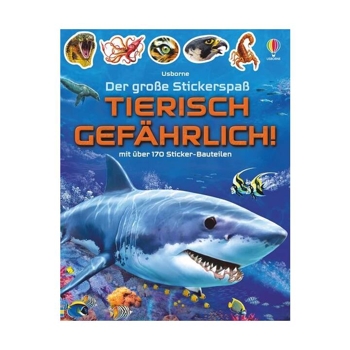 USBORNE PUBLISHING Stickerbuch (Mehrfarbig)