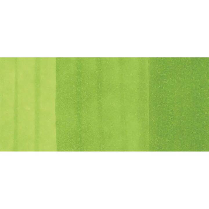 COPIC Marqueur de graphique Classic YG25 Celadon Green (Vert, 1 pièce)