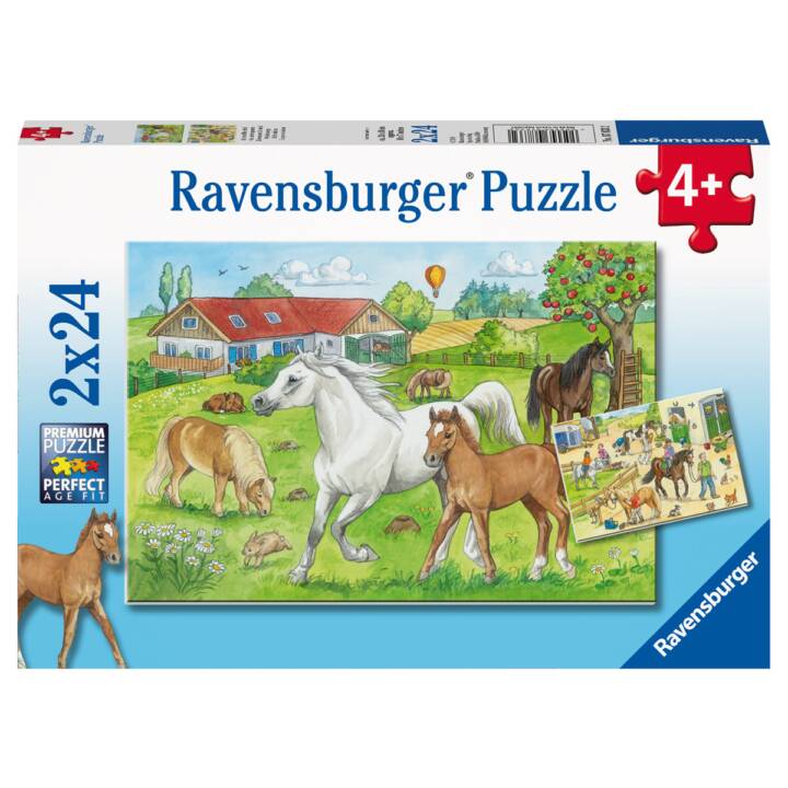 RAVENSBURGER Animali Puzzle (2 x 48 x, 24 x)