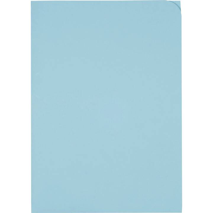 ELCO Cartellina trasparente (Blu, A4, 100 pezzo)
