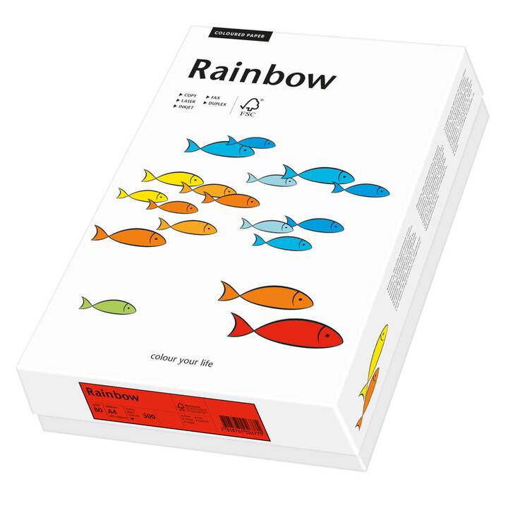 PAPYRUS Rainbow Papier couleur (500 feuille, A4, 80 g/m2)